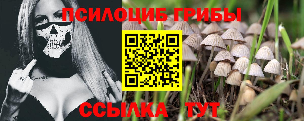 Псилоцибиновые грибы мицелий  Галлюциногенные грибы Cubensis  Вход с VPN  Гагарин 